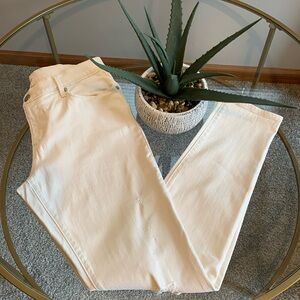 Ann Taylor Loft Relaxed Skinny Jeans Size 27/4